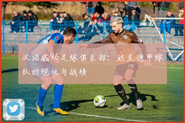 汉诺威96足球俱乐部:这支德甲球队的现状与战绩