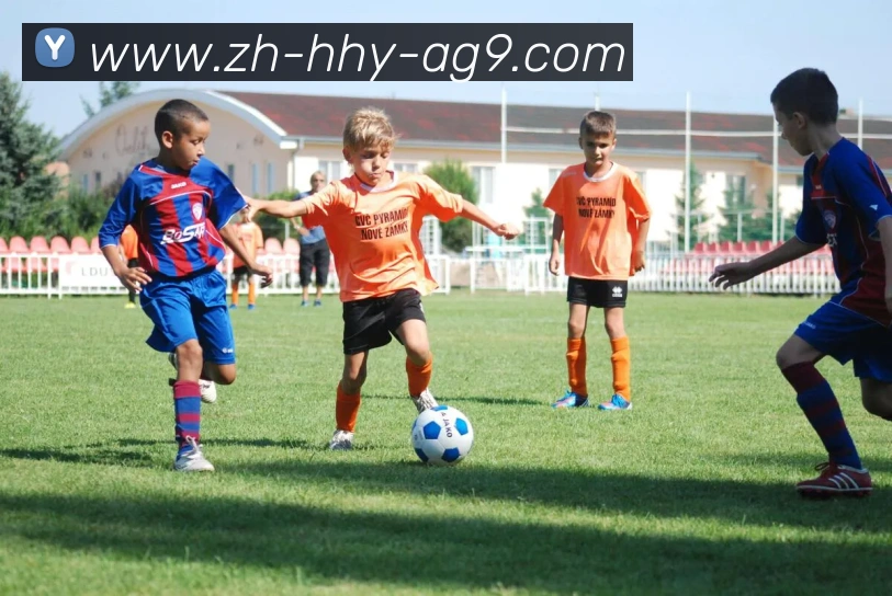 辅助工具 辅助工具